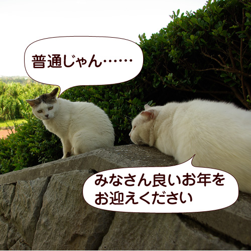 20141231.jpg