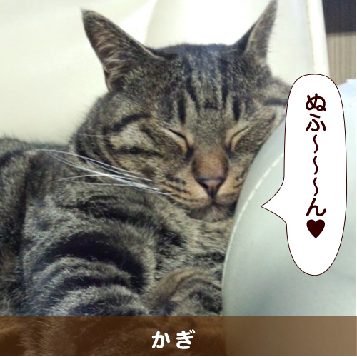 20150116_touko.jpg