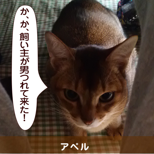 20150117_touko.jpg