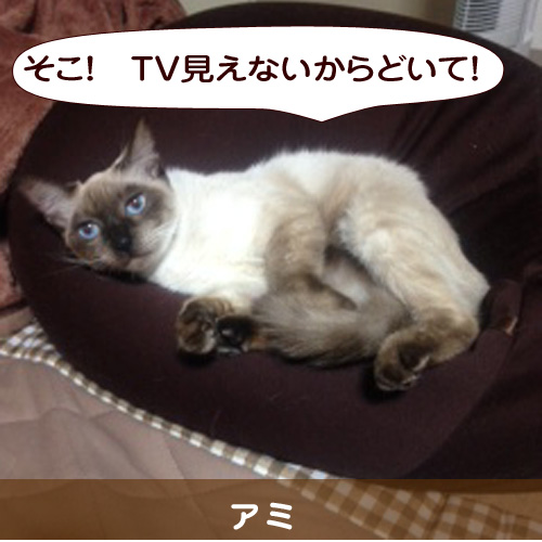 20150118_touko.jpg