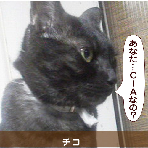 20150121_touko.jpg