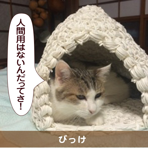 20150122_touko.jpg