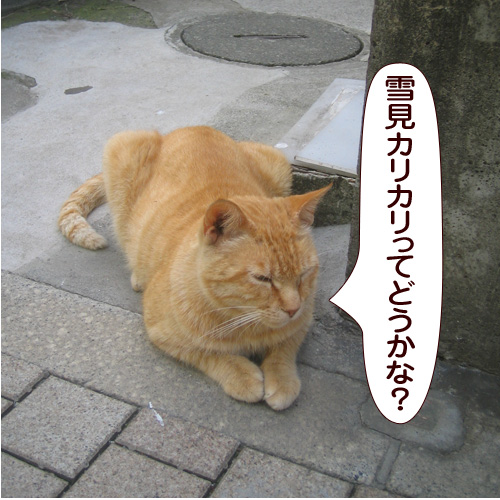 20150128_touko.jpg
