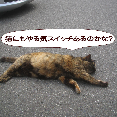 20150129_touko.jpg