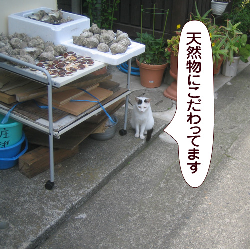 20150130_touko.jpg
