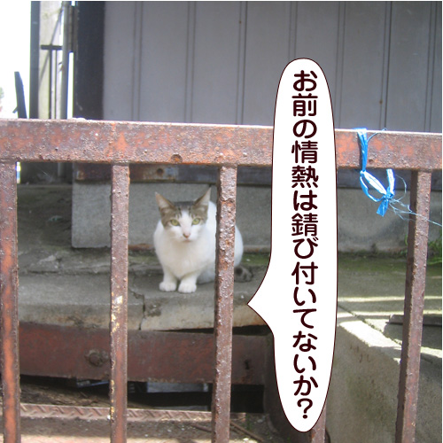 20150131_touko.jpg