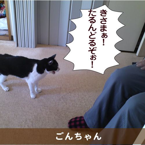 20150218_touko.jpg