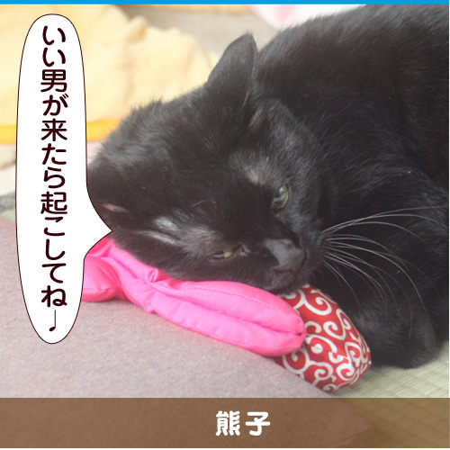 20150219_touko.jpg