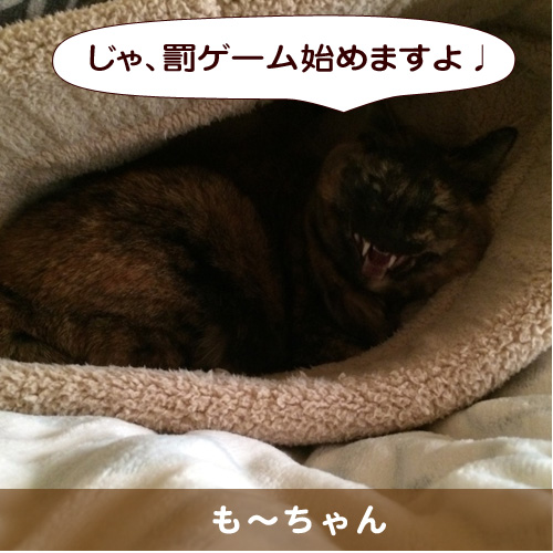 20150220_touko.jpg