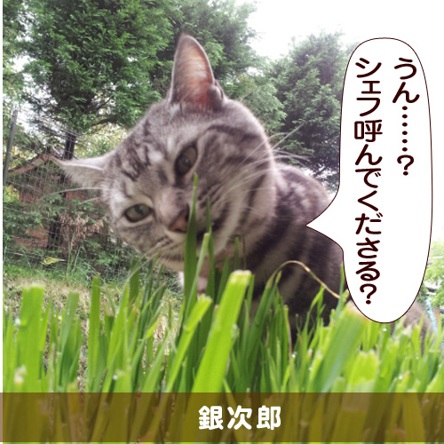 20150222_touko.jpg