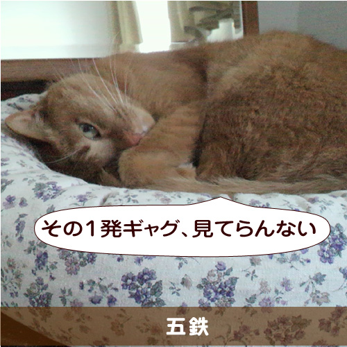 20150223_touko.jpg