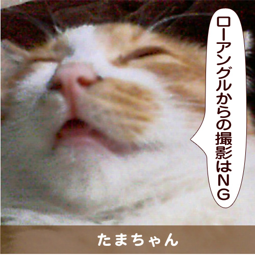 20150312_touko.jpg