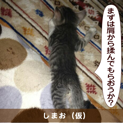 20150322_touko.jpg