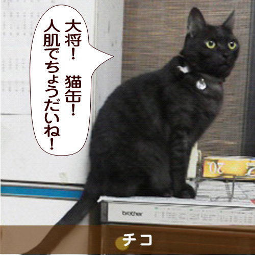 20150323_touko.jpg