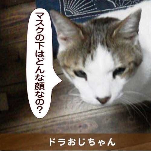 20150324_touko.jpg