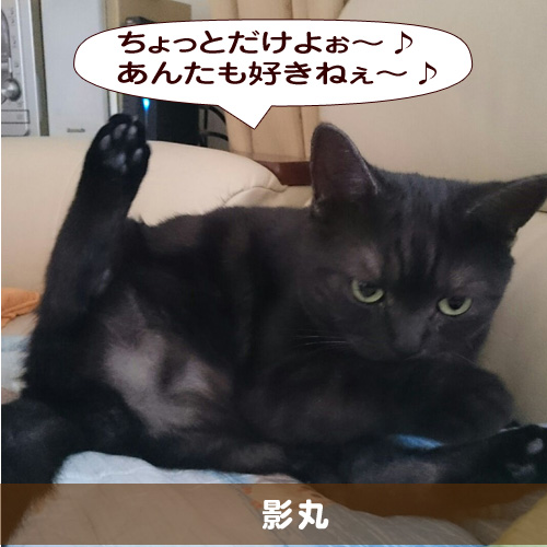 20150326_touko.jpg