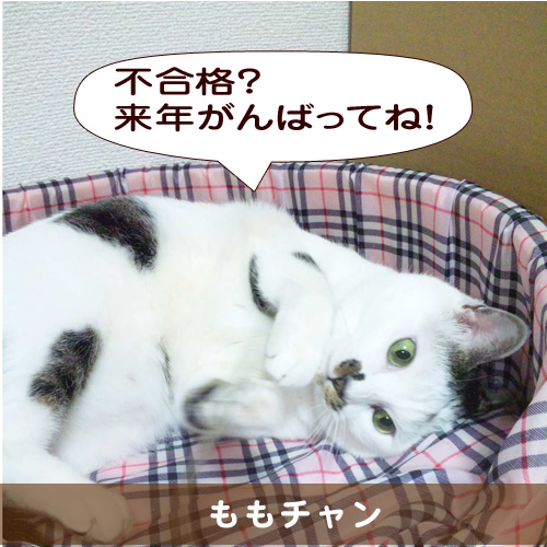 20150327_touko.jpg
