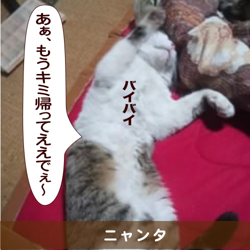 20150329_touko.jpg