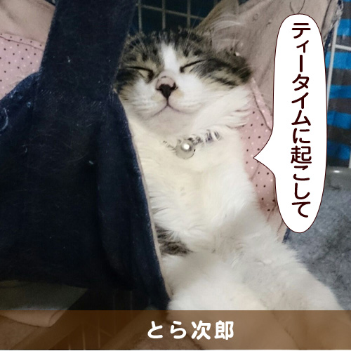 20150331_touko.jpg
