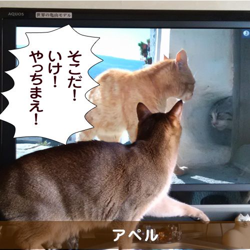 20150401_touko.jpg