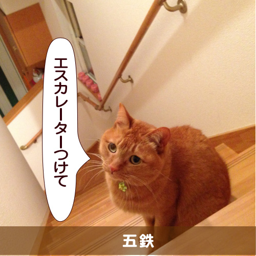 20150402_touko.jpg
