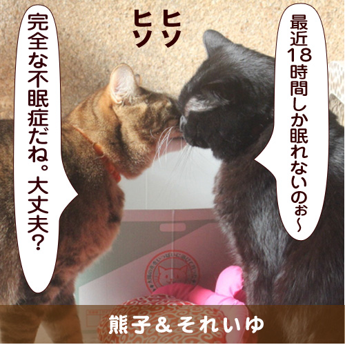 20150404_touko.jpg