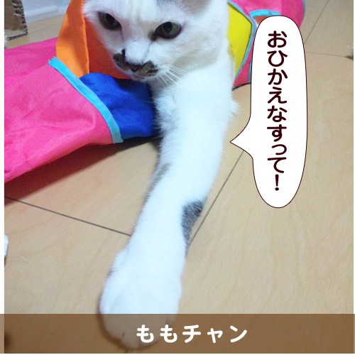 20150409_touko.jpg