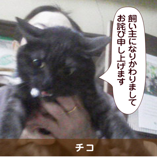 20150419_touko.jpg