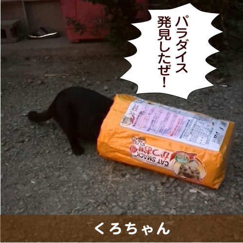 20150425_touko.jpg