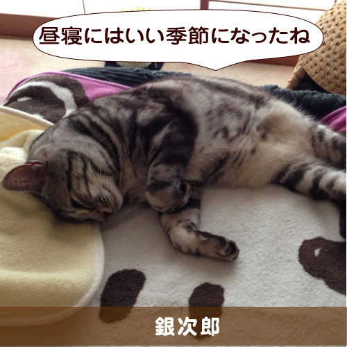 20150514_touko.jpg