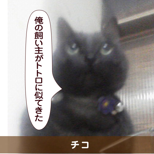 20150528_touko.jpg