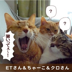 20150604.jpg