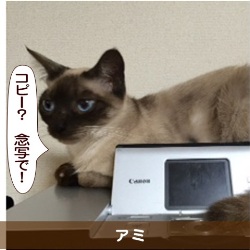 20150605.jpg