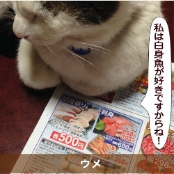 20150608.jpg
