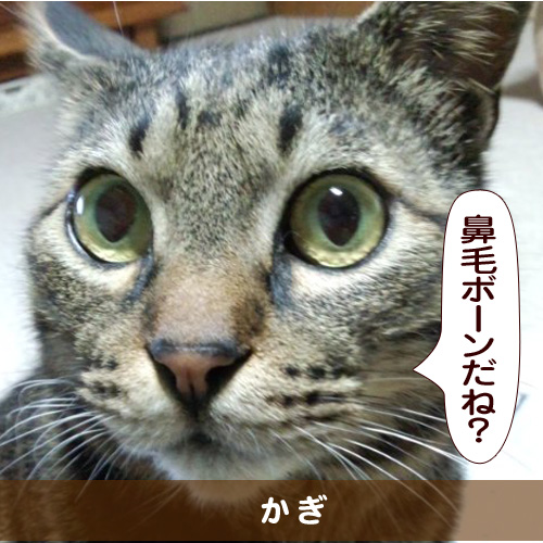 20150613_touko.jpg