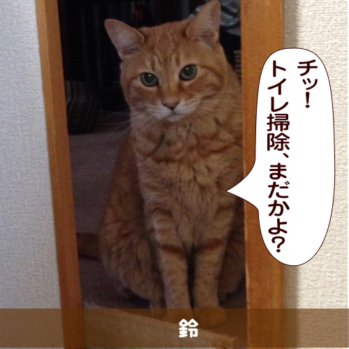 20150614_touko.jpg