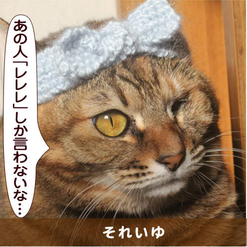 20150617_touko.jpg
