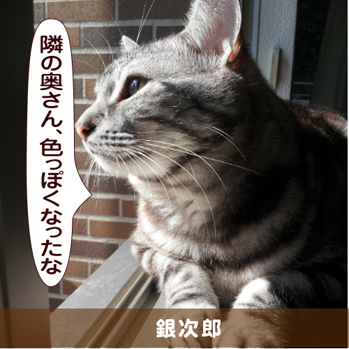 20150626_touko.jpg