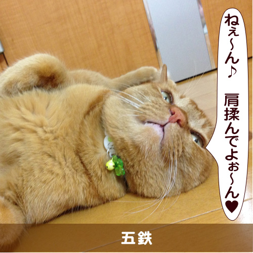 20150629_touko.jpg