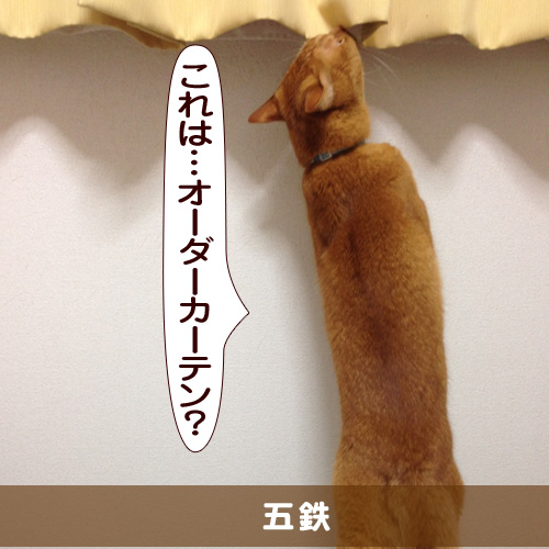 20150702_touko.jpg