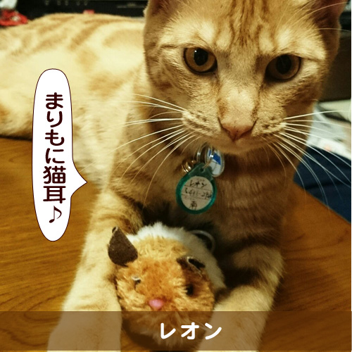 20150706_touko.jpg