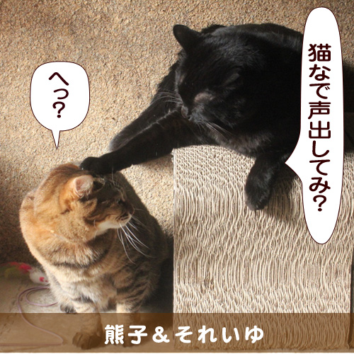 20150902_touko.jpg