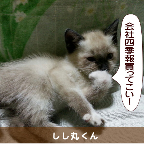 20150907_touko.jpg