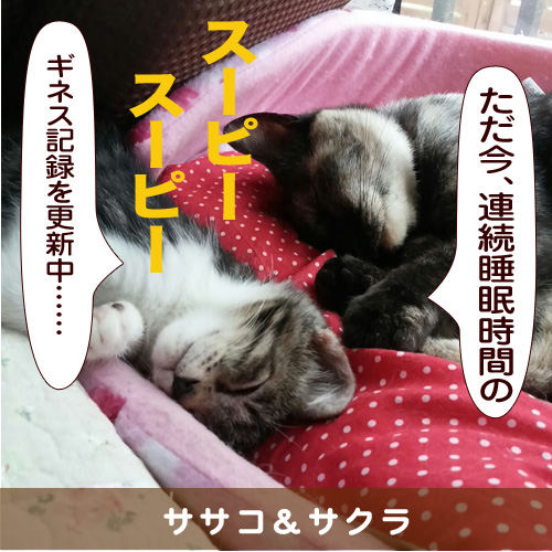 20150910_touko.jpg