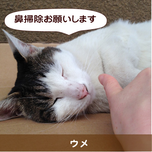20150912_touko.jpg