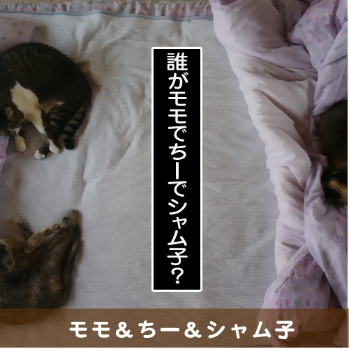 20150930_touko.jpg