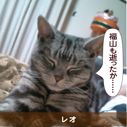 20151003_touko.jpg