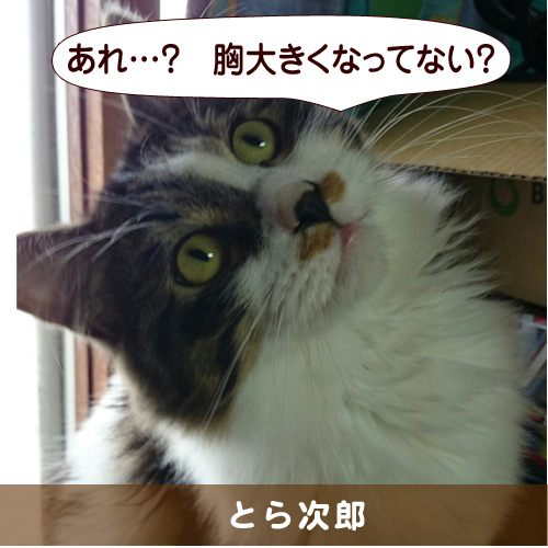 20151015_touko.jpg