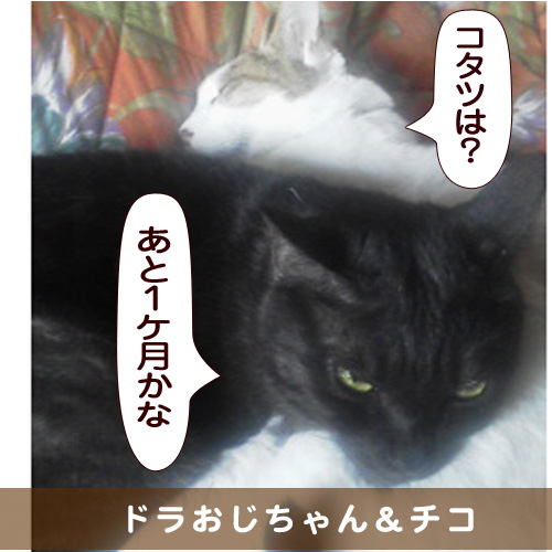 20151018_touko.jpg