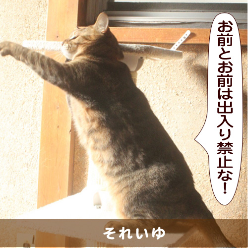 20151024_touko.jpg